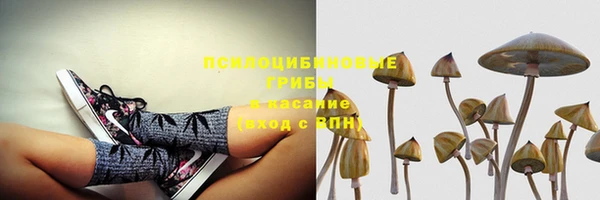 первитин Приозерск