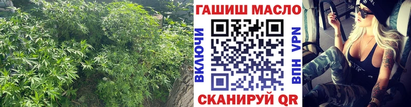 Купить где  Брюховецкая  Дистиллят ТГК гашишное масло 