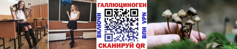 Галлюциногенные грибы Psilocybine cubensis Купить Брюховецкая